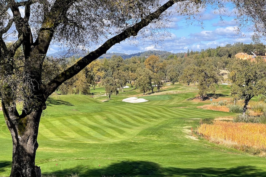 DarkHorse Golf Club